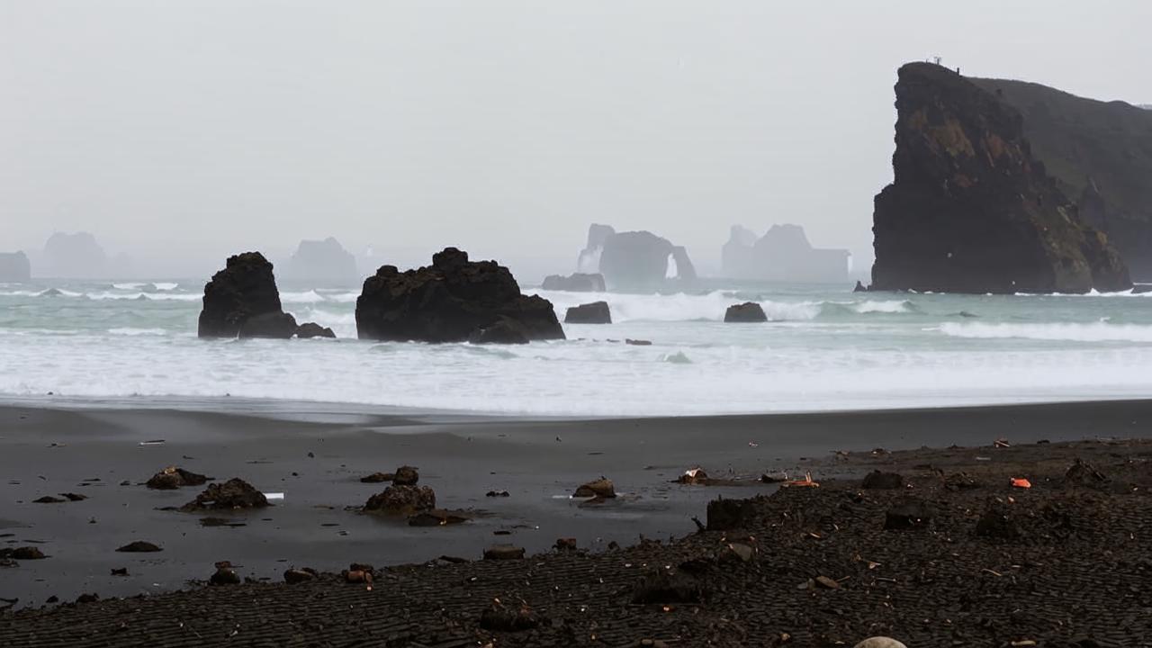 Black beach in Iceland