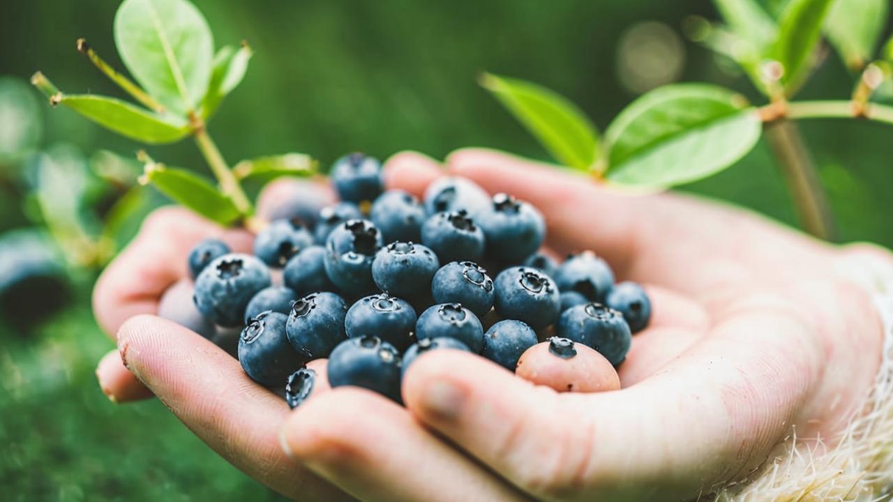 How can you tell by your hand how much you can eat?