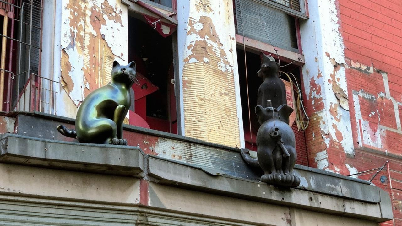 Monuments to Vasilisa the cat and Elisei the cat on Malaya Sadovaya Sadovaya Street