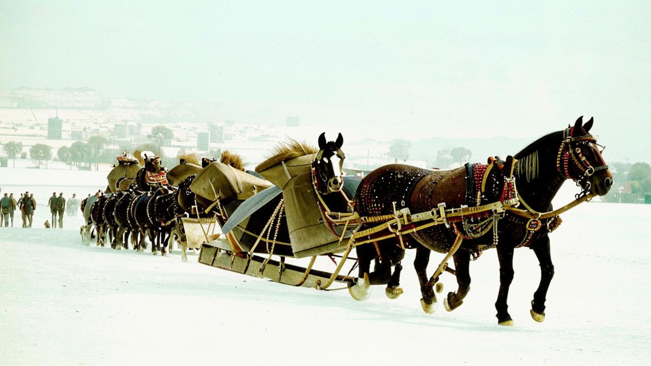 A wagon on the Road of Life