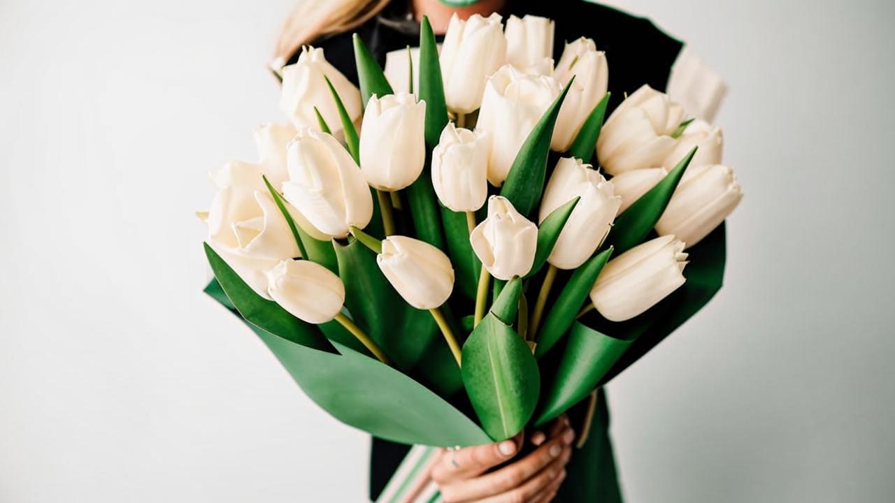 A bouquet of white tulips