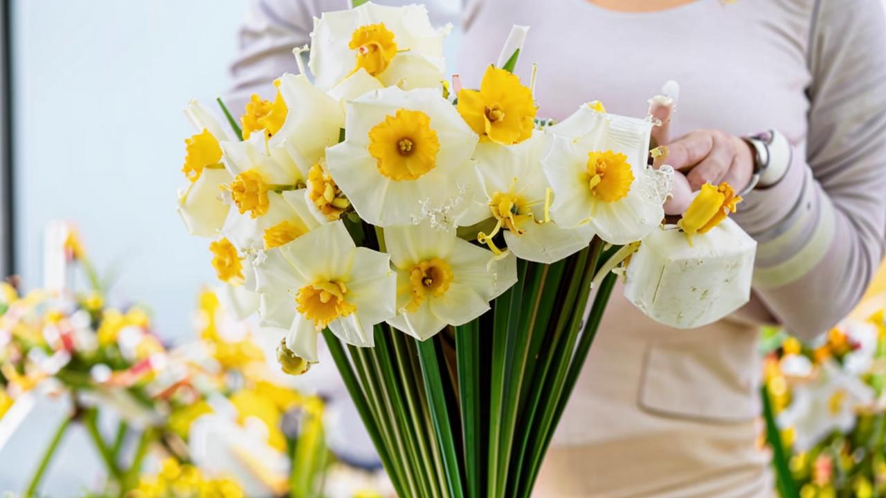 A bouquet of yellow daffodils